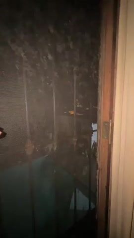 The video shows a dirty window screen, filmed from indoors. The screen has a metal grid and is covered with dark spots, possibly mold or dirt. The window frame is made of wood and has a brass hinge. A white curtain is partially visible to the right of the frame. Through the screen, a blurry outdoor scene is visible, suggesting it is nighttime. The lighting is dim. A hand briefly appears in the frame, moving the curtain slightly.