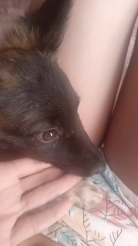 Tender moments with puppy captured in Juan Griego