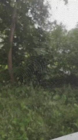 The video shows a close-up view of a window screen, with a blurred background of trees and greenery. The screen is a dark mesh with visible holes. Water droplets are visible on the screen, indicating that it is raining or has recently rained. The overall lighting is dim, suggesting an overcast day. There are no people or discernible objects in focus within the frame. The camera is stationary, and the focus is consistently on the screen and the environment beyond.