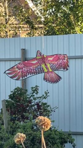 A large, colorful kite shaped like a hawk with red and yellow wings is suspended in the air by a string against a white metal fence. Green bushes and plants, some with red berries, are visible in front of the fence, and out-of-focus dry, fluffy seed heads are in the foreground. The kite appears to be stationary in the frame.