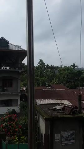 A vertical, full shot captures a view through a metal pole and wires against a cloudy sky. In the foreground, a grey concrete building with a poster on its side is visible, topped with a rusty corrugated metal roof. Behind it, more rusted corrugated roofs line the scene. To the left, a multi-story building with a light-colored facade and dark trim stands, featuring balconies and a dark, sloped roof. Red flowers bloom in a garden on the lower level of this building. The background is filled with lush green trees and foliage, with a hint of mountains visible in the distance. A small bird flies across the sky in the upper right portion of the frame. The overall environment appears to be a residential area nestled amongst nature.