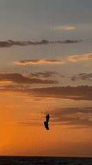Kitesurfers perform aerial stunts during vibrant ocean sunset
