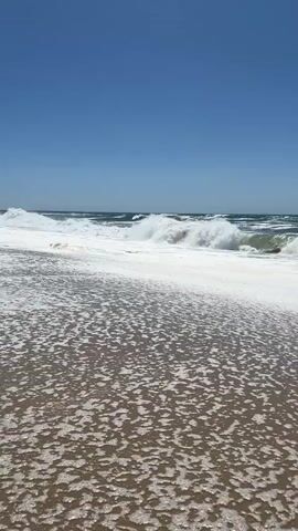 This is a short video clip of a beach scene under a clear blue sky. The camera is positioned low to the ground, looking out towards the ocean. In the foreground, the wet sand is covered in a layer of foamy sea spray, with small bubbles creating a textured pattern. Beyond the foam, the ocean is active, with several waves rolling in towards the shore. These waves are building and breaking, creating whitecaps and a strong sense of movement in the water. The horizon is visible where the deep blue of the ocean meets the bright blue of the sky. The overall impression is of a bright, sunny day at the coast, with the natural energy of the sea taking center stage. There is no visible text in the video.