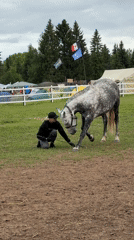 Woman conducts horse training session in Kechur, Russia arena