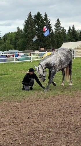 Woman conducts horse training session in Kechur, Russia arena