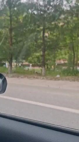The video shows a view from inside a moving vehicle, likely a car, as it travels along a road. The camera is positioned on the passenger side, looking out the side window. Outside, there are trees and greenery along the roadside. A road sign comes into view briefly, reading "DAP306 VARZOB". In the distance, a mountain can be seen. There is a car side mirror visible at the lower left of the frame and part of the car's interior, specifically the door panel, is visible at the bottom. Music is audible.