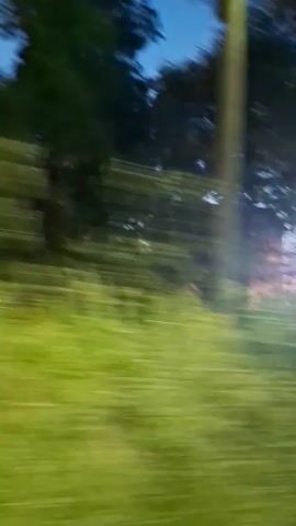 The video shows a blurry outdoor scene at dusk or night, with trees and vegetation in the foreground and background. Artificial lights are visible, casting a warm glow on some areas and creating colorful bokeh effects in others. A building or structure, possibly with windows, is partially visible through the trees. The camera appears to be moving, indicated by the motion blur. The sky is dark blue, suggesting twilight.