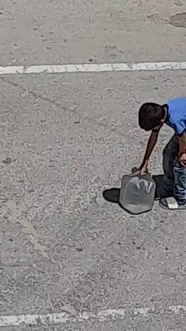A child in a blue shirt and jeans, wearing glasses, is on a paved surface with white lines. The child is interacting with a shadow that appears to be his own. The child is seen bending down, looking at the shadow, and then standing up and gesturing. The child's shadow mimics his movements. The lighting suggests it is daytime.