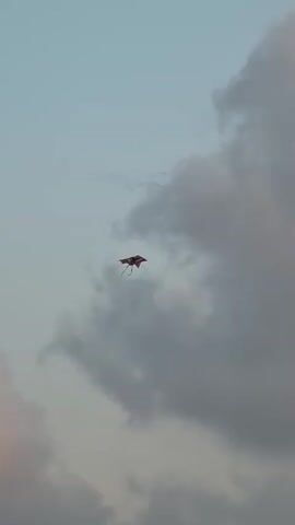 A kite flies in a cloudy sky. The kite is diamond shaped and has a pattern of red, yellow, and black. It has two tails hanging down. The sky is light blue with large, dark grey clouds and some pinkish clouds. The video is shot from below, looking up at the kite.