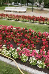 Morning stroll through Kuopio's parks, market, and landmarks