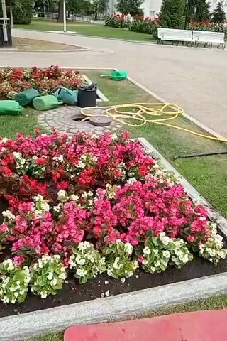 The video pans across a park with manicured flower beds and benches. In the foreground, vibrant red and pink begonias are planted in rows. Green watering cans and a yellow hose are visible near a manhole cover. The camera then moves to reveal a church with a white steeple and stone facade in the background, surrounded by trees and more flower beds. Several people are walking in the park and near the church entrance.