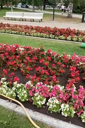 Morning stroll through Kuopio's parks, market, and landmarks