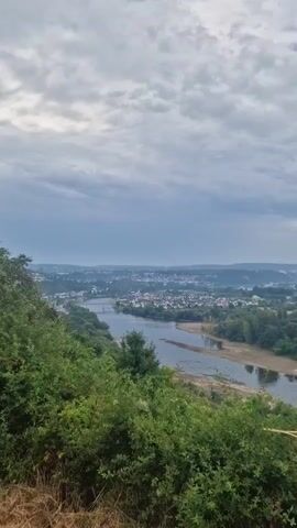 The video shows a wide river flowing through a town. The town has many buildings with red roofs and is surrounded by green trees. A bridge crosses the river in the distance. The sky is cloudy, and the overall lighting suggests it is either early morning or late evening. The foreground is filled with lush green bushes and dry grass, implying the camera is positioned on a hill overlooking the scene.
