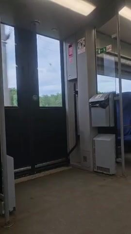 The interior of a train car is shown in a static, eye-level shot. A closed black door with windows displaying a view of trees and a cloudy sky is visible on the left side of the frame. To the right of the door is a gray column housing electronic components and a trash receptacle. A section of blue seating is visible to the right of the column, and part of a gray metal support structure is visible on the left. The car's floor is a plain gray color, and the ceiling is equipped with fluorescent lighting. The overall impression is that the train is stationary.