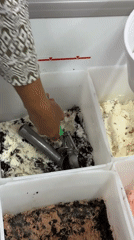 Late-night ice cream service captured in Mexican town