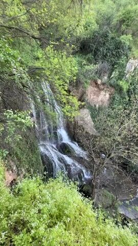 The video shows a waterfall in a lush, green forest. The waterfall is cascading down a rocky cliff, surrounded by trees and vegetation. The camera pans up to show the cliff face, covered in greenery. The sky is visible through the trees. The video seems to be shot during the daytime.