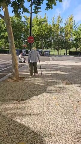 An elderly person wearing a straw hat, a striped shirt, and loose-fitting green pants walks with a cane on a sidewalk next to a street. They are carrying a bottle of water in their left hand. A stop sign is visible on a pole to their left. In the background, there are trees, garbage bins, and a crosswalk. Another person is visible in the distance on a mobility scooter. The sun is shining, casting shadows on the ground.