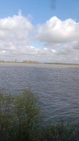 The video shows a wide river under a blue sky with scattered puffy white clouds. The water is dark blue and ripples gently in the wind. On the opposite shore, there's a thin strip of land covered with trees. Green bushes and small trees are visible in the foreground. The camera moves slightly, revealing more of the greenery in the foreground.
