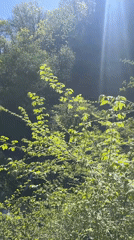 Sunlit landscape and cliff face captured in Razhdavitsa, Bulgaria