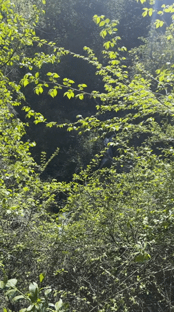 Sunlit landscape and cliff face captured in Razhdavitsa, Bulgaria