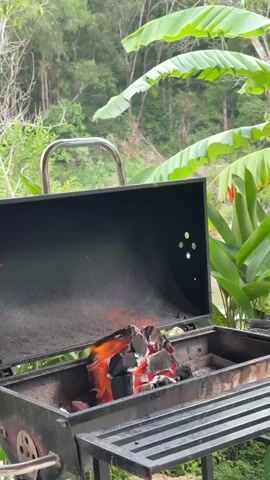 The video shows a close-up of a charcoal grill with hot coals and flames. The grill is outdoors, with lush green foliage and trees in the background, suggesting a tropical or natural setting. The lid of the grill is open, revealing the burning charcoal. The camera is positioned to focus on the fire, with the environment slightly out of focus. There are no people visible in the video, and no actions other than the burning of the charcoal are depicted. The overall impression is one of preparing for or in the process of grilling.