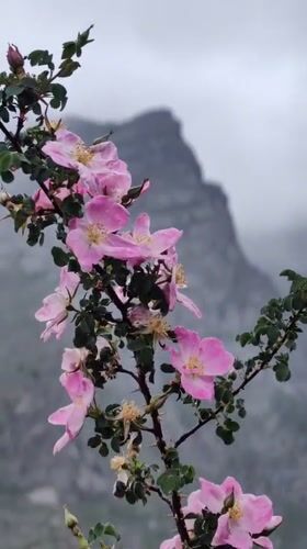 A rainy morning in a remote Himalayan valley