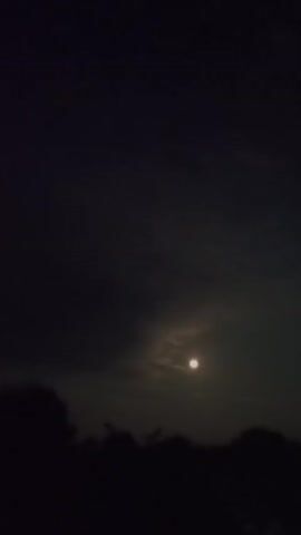 A video shows a night sky with a moon visible through clouds. The moon is a bright orb in the center-left of the frame. The sky is dark, with some cloudy texture. The bottom of the frame shows the dark silhouettes of trees or bushes against the sky. The video is short and does not appear to show any action or people.