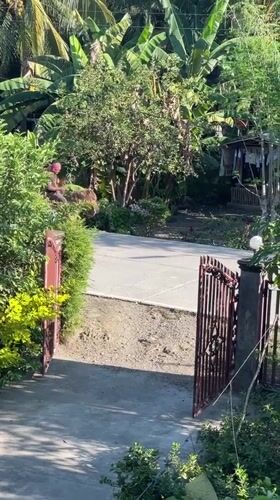 Man rides horse along paved road in Kiblawan