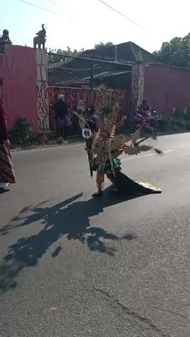 The video captures a child in a large, ornate costume resembling a peacock, walking down a paved road. The costume is predominantly gold and green, with large feather-like adornments and a long train. The child is walking from left to right in the frame. In the background, on the left side of the road, there is a low wall with decorative red panels and statues of elephants on top. Behind the wall, there are trees and buildings. On the right side of the road, there are people sitting on motorcycles and some standing, watching the parade. The sun is casting long shadows on the road. Further down the road, another person dressed in black is walking, carrying a framed picture. Another child, dressed in a smaller costume, is visible on the far right of the frame.