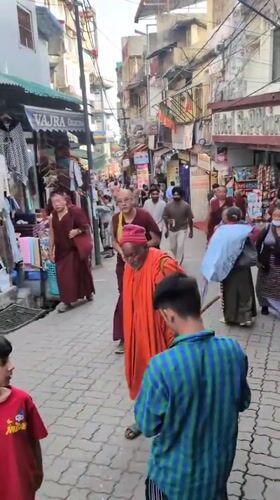 Everyday street scenes documented in Dharamshala's bustling McLeod Ganj district