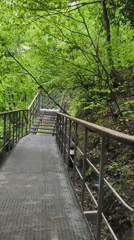 Woman walks forest walkways in Goryachiy Klyuch park