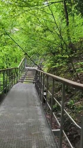 Woman walks forest walkways in Goryachiy Klyuch park