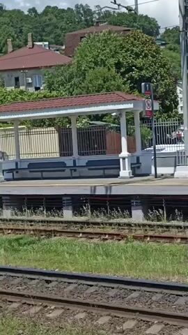 The video shows a view from a moving train at a train station. The train station has a covered waiting area with benches and a fence. There are houses and trees on a hill in the background. The train tracks are in the foreground. The video pans from left to right, showing the station from different angles.