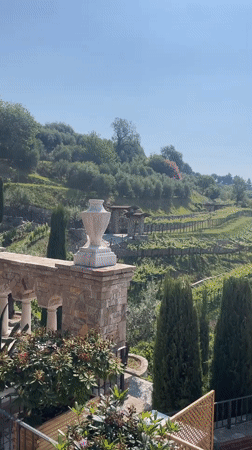 Morning vineyard scenes documented in Gussago, Italy