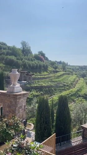 Morning vineyard scenes documented in Gussago, Italy