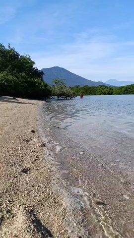 The video depicts a daytime scene at a beach or shore with a low, gentle tide. The foreground shows a sandy beach with small waves lapping at the shoreline. Beyond the water's edge, there's a line of trees and vegetation, with a prominent mountain or large hill in the background under a blue sky with scattered clouds. In the distance, there are some people, one of whom is wearing a red garment. The water appears relatively clear and calm.