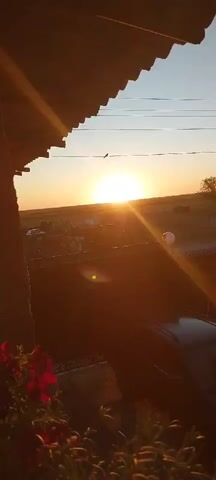 The video captures a sunset viewed from a porch or covered area. The sun, a bright orange-yellow disk, is low on the horizon, casting long shadows and lens flares across the scene. The sky transitions from a pale blue at the top to a warm orange near the sun. In the foreground, the edge of a dark roof structure with a corrugated pattern is visible on the left, and some red flowers are in the bottom left corner. In the middle ground, there's a glimpse of dark-colored car roof and a fence. Beyond the fence, the landscape appears rural, with some buildings, a solitary tree, and what looks like a field. A bird is silhouetted against the bright sun in the sky. The overall impression is a peaceful, warm evening scene.