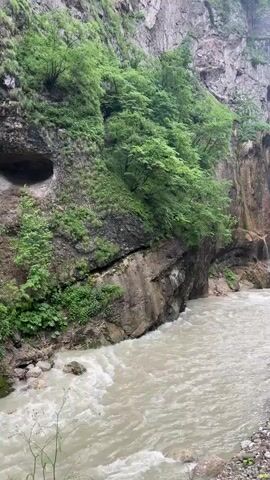 A fast-flowing, muddy river runs through a narrow gorge. Steep, moss-covered rock cliffs rise on either side of the river, with lush green trees and vegetation clinging to their faces. Several small waterfalls cascade down the rock walls, disappearing into the churning water below. The sky is overcast, casting a soft, diffused light on the scene. The camera pans slowly, revealing the immensity of the cliffs and the power of the river.