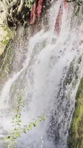 Brichmulla, Uzbekistan