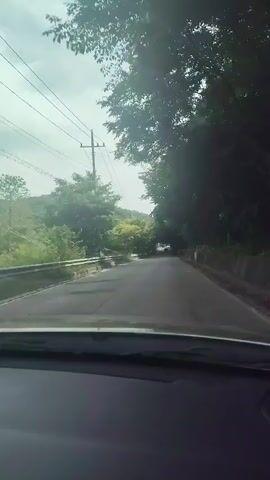A first-person perspective video shows a person driving on a paved road lined with trees. The road curves gently to the right and appears to be a two-lane road. There are power lines visible on the left side of the road. The trees on the right side of the road are dense and create a canopy over the road in some areas. The sky is overcast. There are no other vehicles or people visible in the immediate vicinity of the car.