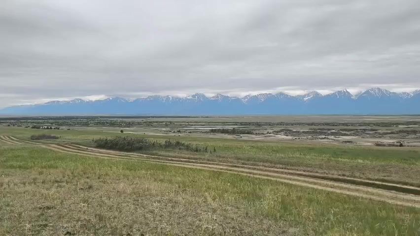 A wide shot of a grassy field with a dirt road winding through it. In the distance, a range of snow-capped mountains stretches across the horizon under a cloudy sky.