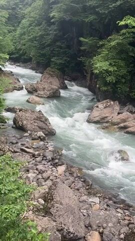 The video shows a fast-flowing river in a forested area. The water is a milky turquoise color and churns around large rocks in the riverbed. The banks of the river are covered in lush green vegetation, including trees and smaller plants. The overall impression is one of a wild and untamed natural landscape.