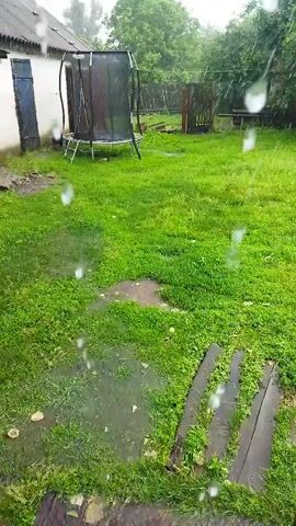 The video shows a backyard during a rain shower. The yard is covered in green grass, with puddles of water visible on the ground. A trampoline is set up in the yard, and a white building with a dark roof is visible in the background. There is also a wooden fence and some trees. The rain is visible as streaks of water falling from the sky.