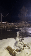 Rural winter scenes documented in Nizhnii Bugrysh, Russia
