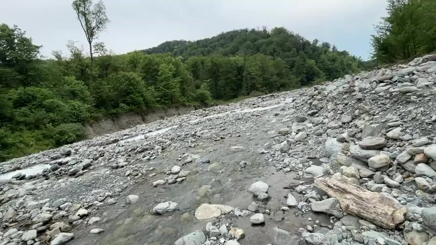 The video opens with a wide shot of a rocky riverbed with a shallow, clear stream flowing through it. The riverbed is flanked by dense green forests and hills under an overcast sky. As the camera pans, three individuals become visible. In the foreground, a person wearing a red and white cap and red shorts crouches by the water, appearing to touch it. Behind them, a second person in dark clothing walks across the grey rocks of the riverbed. Further in the background, a third person in a white t-shirt and light shorts also walks across the rocky terrain. A large piece of driftwood rests on the right side of the rocky bank in the foreground.