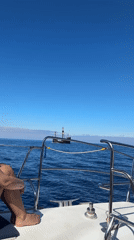 Sailing ships spotted off Funchal coast during morning excursion