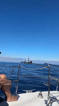 Sailing ships spotted off Funchal coast during morning excursion