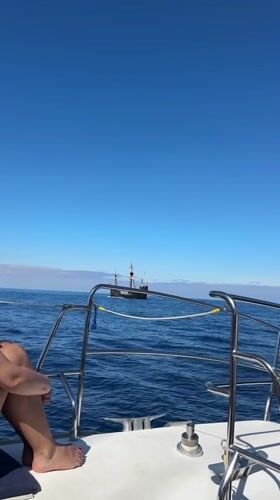 Sailing ships spotted off Funchal coast during morning excursion