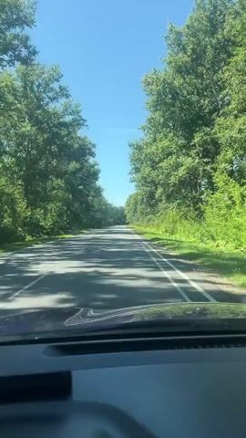The video shows a view from inside a vehicle looking out at a paved road lined with dense green trees on both sides. The sun is shining brightly, casting shadows on the road. The sky is clear and blue. The vehicle appears to be moving along the road.