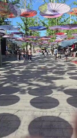 This is a vertical, full-shot video of a street market. The perspective is from someone walking down a paved walkway. Overhead, numerous colorful umbrellas are suspended on strings, creating a canopy. The umbrellas are a mix of red, purple, and blue, with intricate patterns. Sunlight filters through the umbrellas and the leaves of trees lining the sides of the walkway, casting circular shadows on the ground. The walkway is lined with stalls on both sides, selling various goods, some of which are visible through the gaps between the umbrellas. Several people are walking along the walkway in both directions. On the left side, there are storefronts. On the right, there are market stalls with goods displayed. The sky is blue and clear. The overall atmosphere appears to be that of a busy outdoor market on a sunny day.